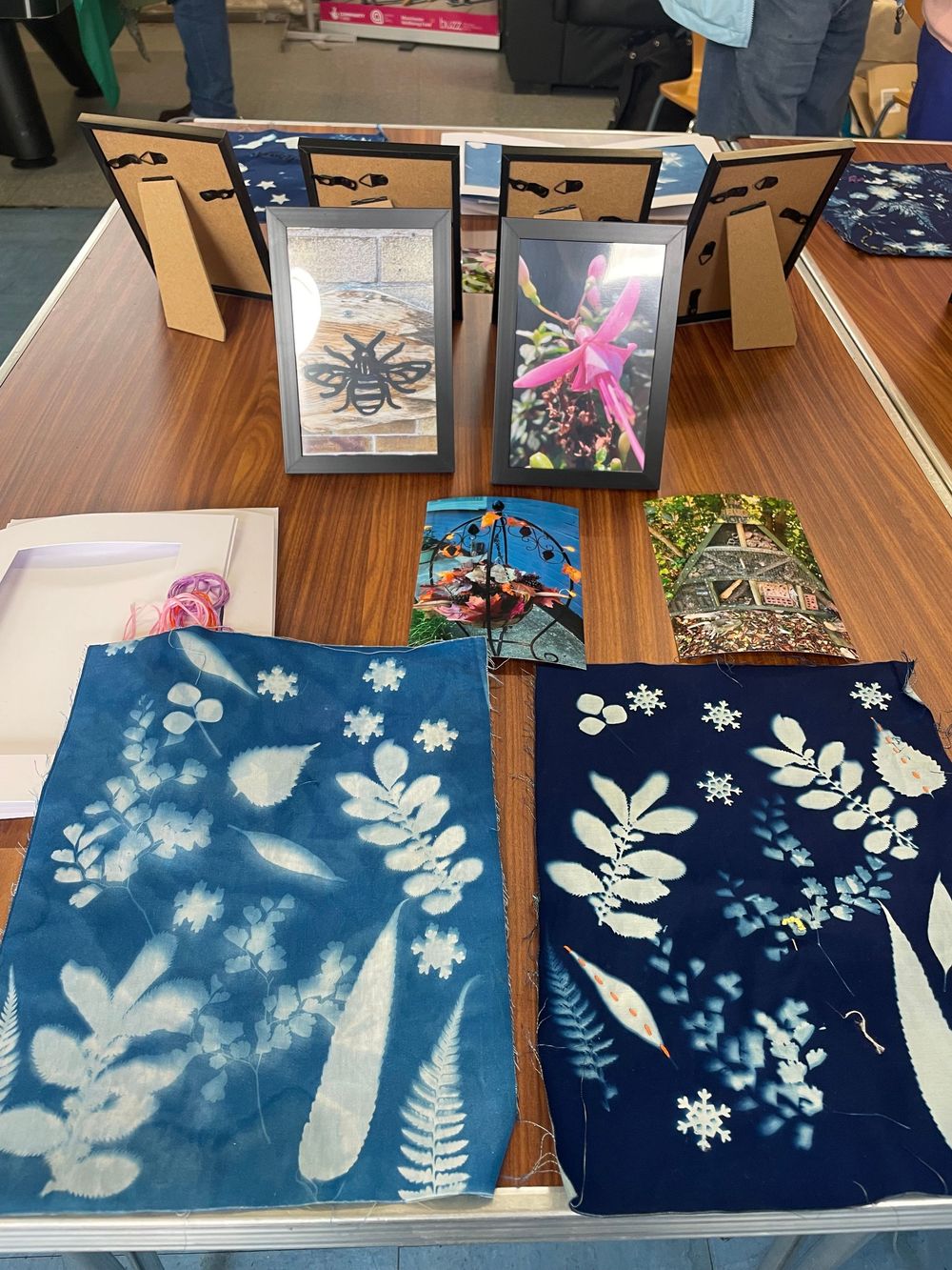 A series of cyanotype prints showing delicate botanical silhouettes of leaves and flowers on deep blue backgrounds.