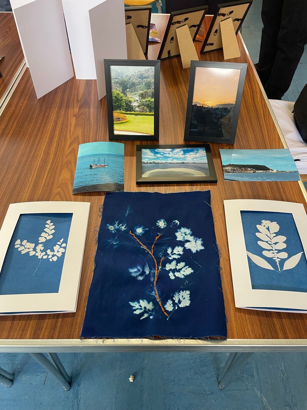 Collection of framed cyanotype botanical prints arranged on a dark blue background showing delicate leaf and flower silhouettes.
