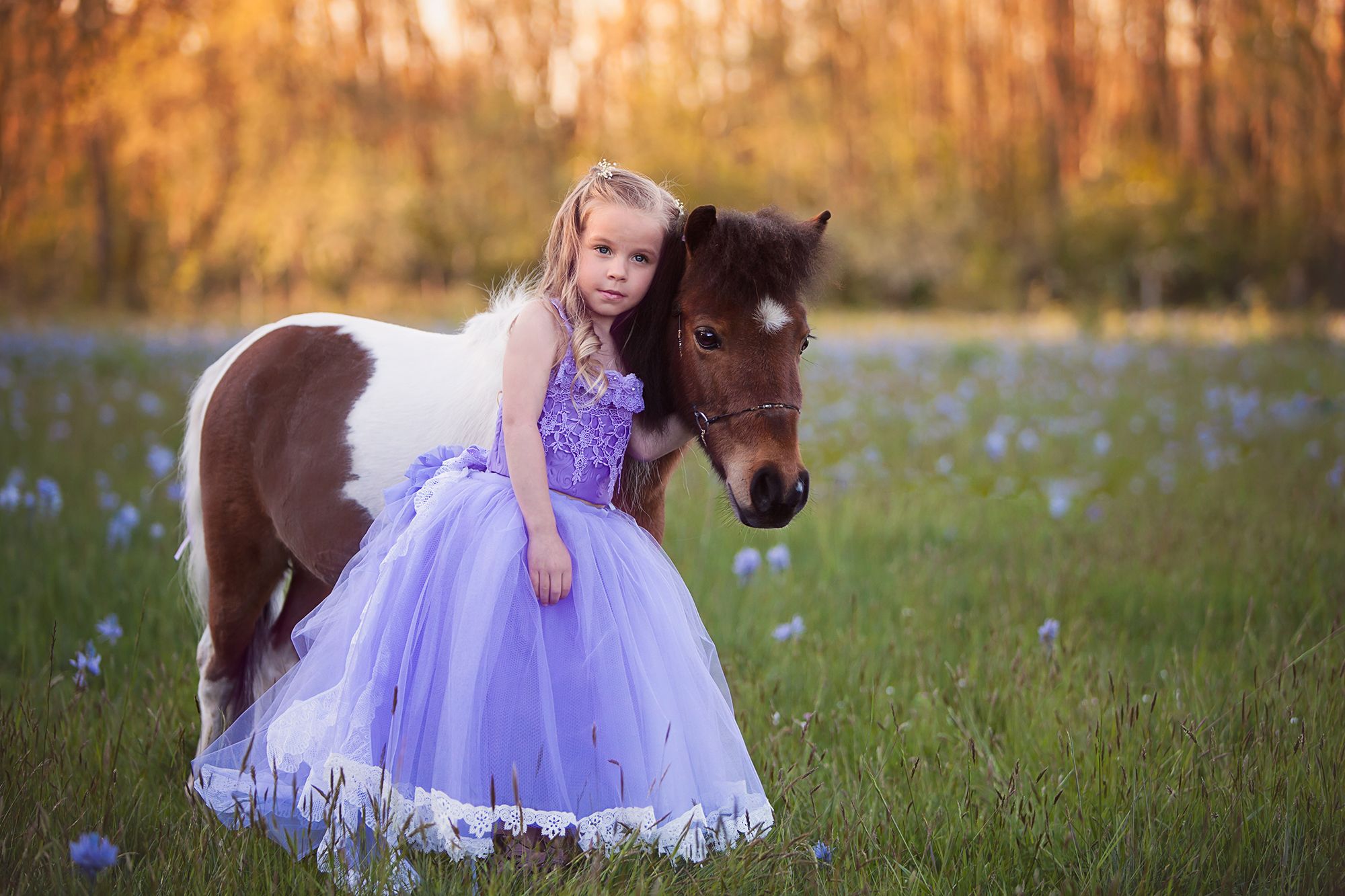 Princess Pony