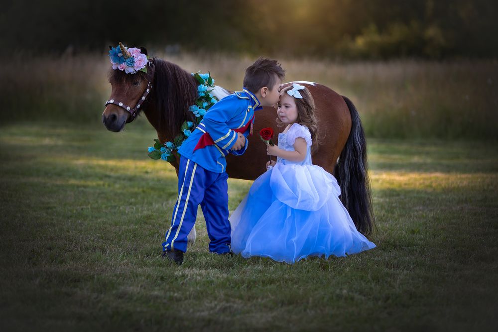 Princess Pony