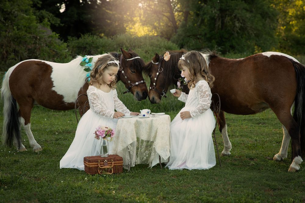 Princess Pony, tea party