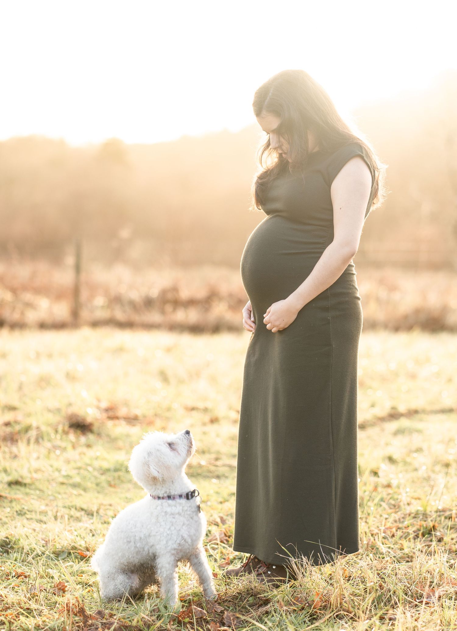 A pregnant woman in a black dress stands in a sunlit field with a small white dog looking up at her.