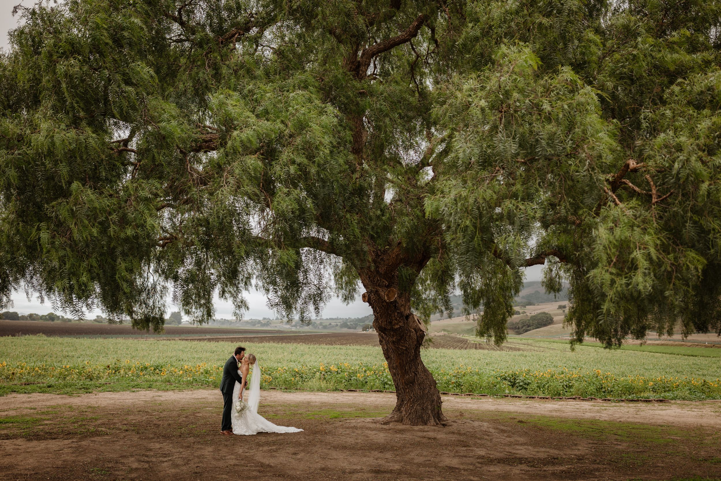 Rustique wines salinas wedding venue