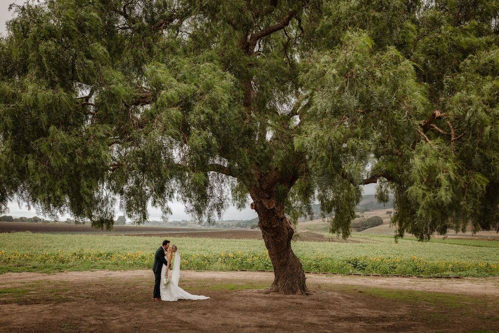 Rustique wines salinas wedding venue