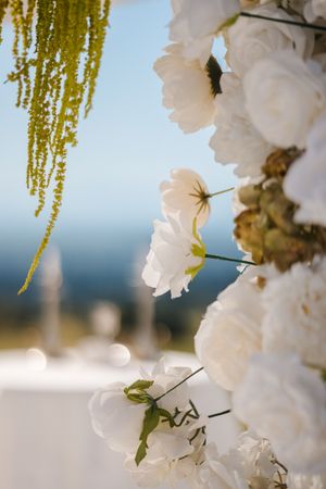 White cherry blossoms bloom against a soft blue sky with delicate yellow catkins hanging in the background.