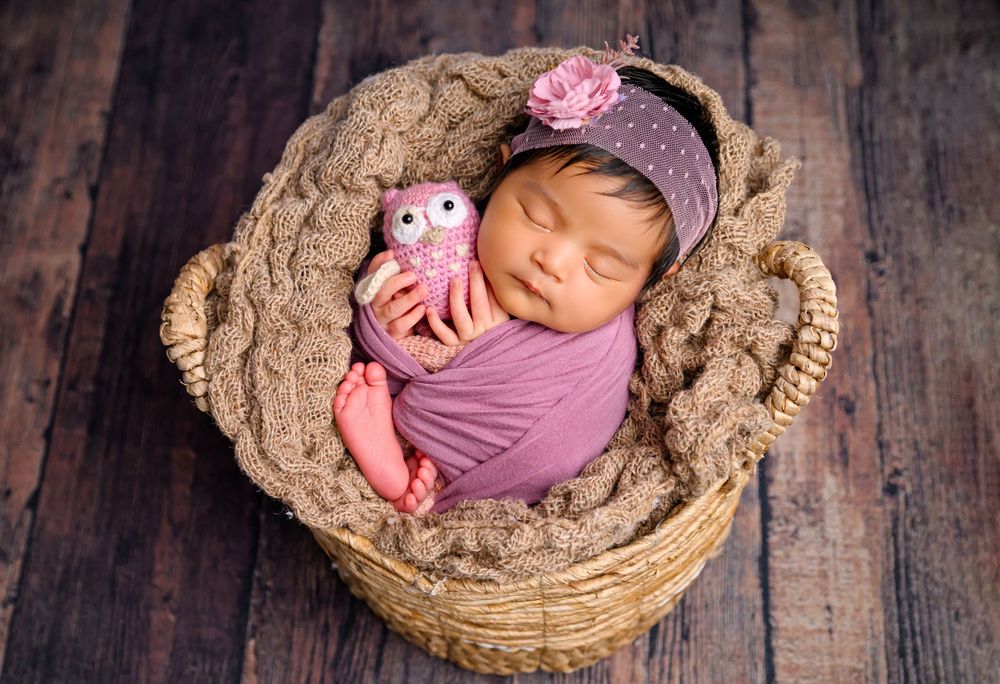 Newborn baby girl swaddled in purple wrap sleeping in a wicker basket holding a pink owl toy.