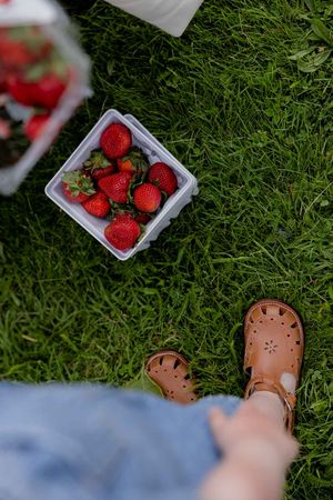 Fresh red strawberries in a white container next to brown sandals on green grass.
