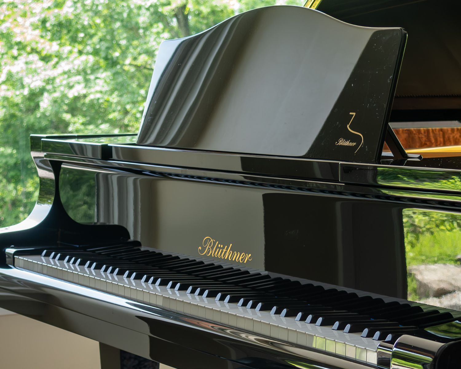 Photo documentation of a Blüthner Grand Piano for Sale | Rare German Craftsmanship