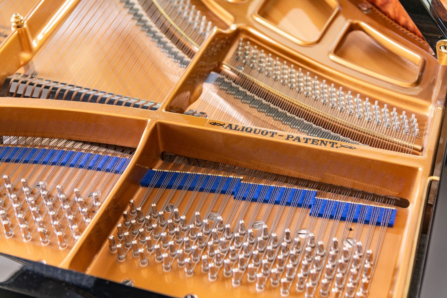 Photo documentation of a Blüthner Grand Piano for Sale | Rare German Craftsmanship
