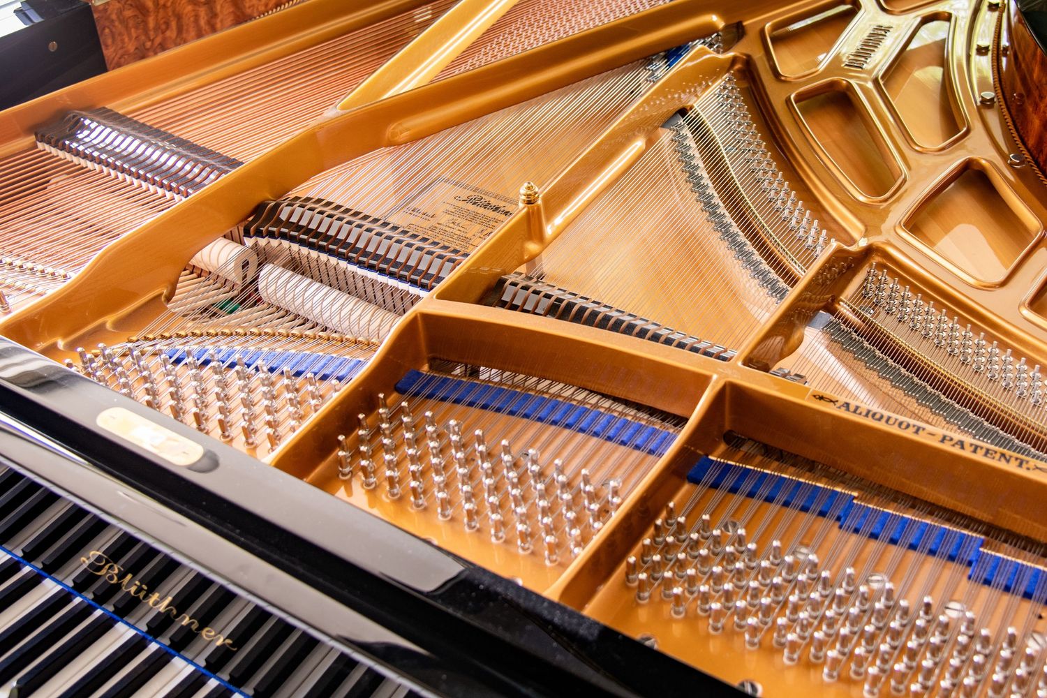 Photo documentation of a Blüthner Grand Piano for Sale | Rare German Craftsmanship