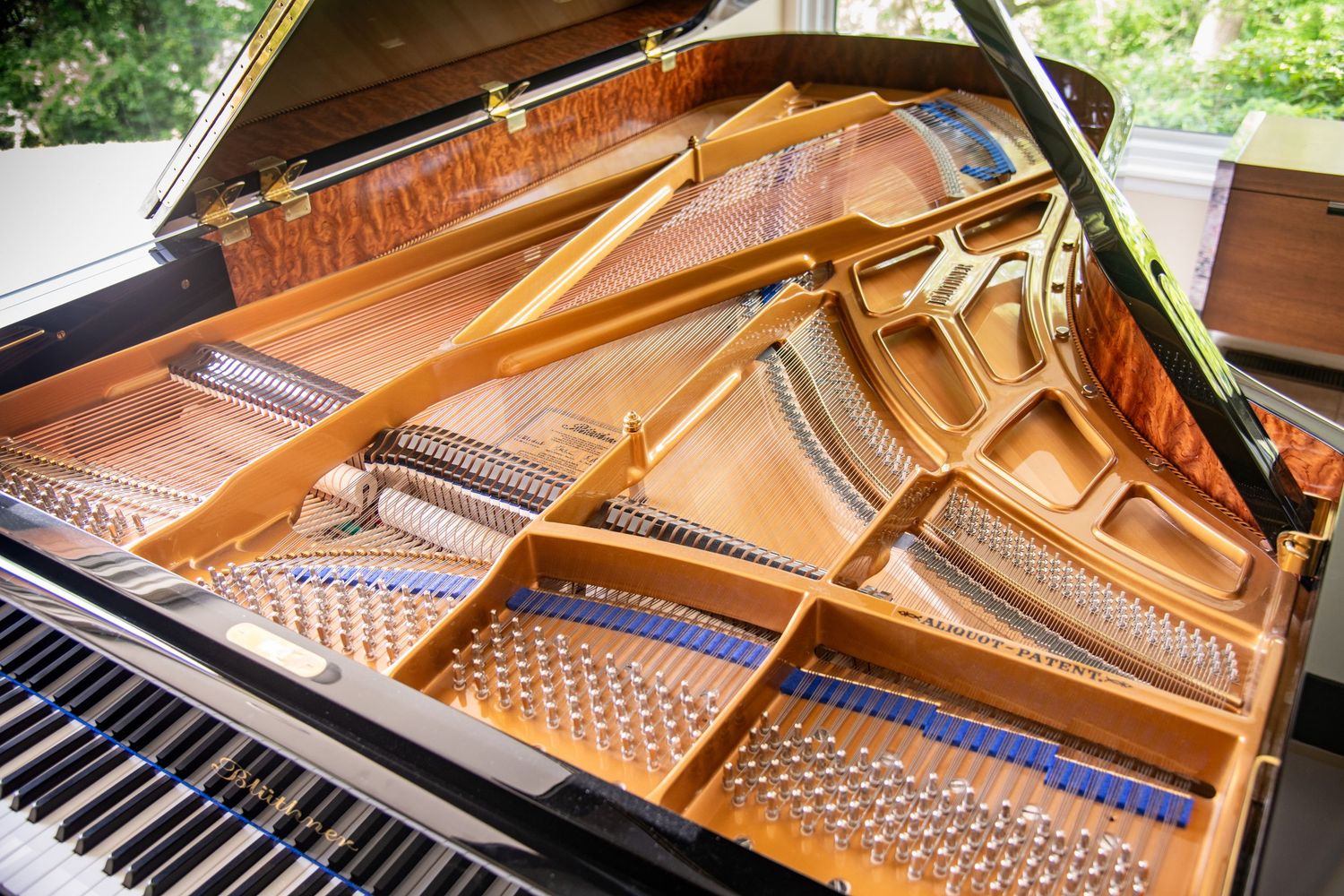 Photo documentation of a Blüthner Grand Piano for Sale | Rare German Craftsmanship
