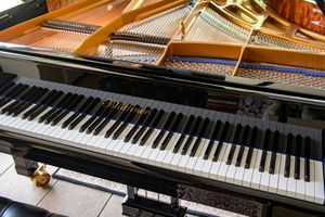 Photo documentation of a Blüthner Grand Piano for Sale | Rare German Craftsmanship