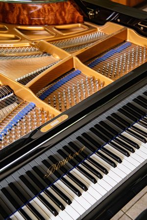 Photo documentation of a Blüthner Grand Piano for Sale | Rare German Craftsmanship