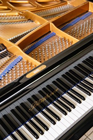 Photo documentation of a Blüthner Grand Piano for Sale | Rare German Craftsmanship