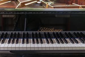 Photo documentation of a Blüthner Grand Piano for Sale | Rare German Craftsmanship