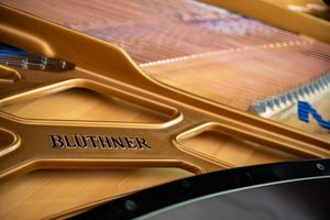 Photo documentation of a Blüthner Grand Piano for Sale | Rare German Craftsmanship