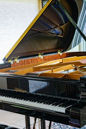Photo documentation of a Blüthner Grand Piano for Sale | Rare German Craftsmanship