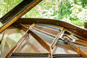 Photo documentation of a Blüthner Grand Piano for Sale | Rare German Craftsmanship