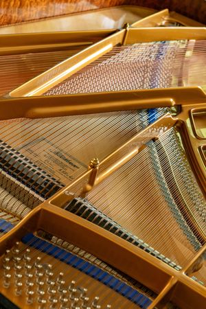 Photo documentation of a Blüthner Grand Piano for Sale | Rare German Craftsmanship