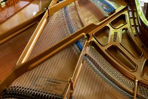 Photo documentation of a Blüthner Grand Piano for Sale | Rare German Craftsmanship