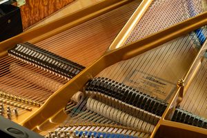 Photo documentation of a Blüthner Grand Piano for Sale | Rare German Craftsmanship