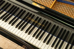 Photo documentation of a Blüthner Grand Piano for Sale | Rare German Craftsmanship