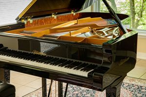 Photo documentation of a Blüthner Grand Piano for Sale | Rare German Craftsmanship