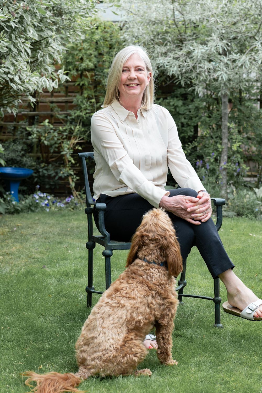 A person in a white sweater sits on a garden chair with a brown goldendoodle dog on a green lawn.