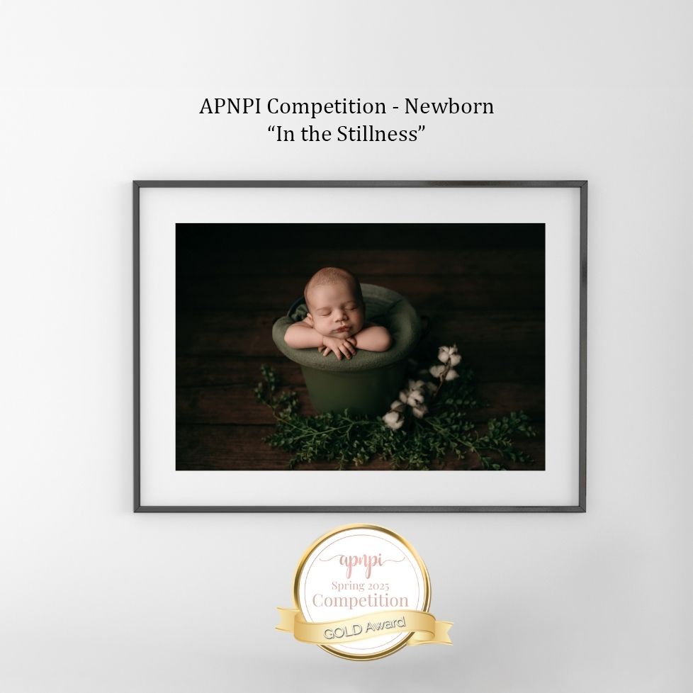 Series of moody newborn portrait photographs displayed with competition badges and text overlays.