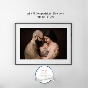 A collection of artistic newborn photography award entries displayed in white frames against a light background.