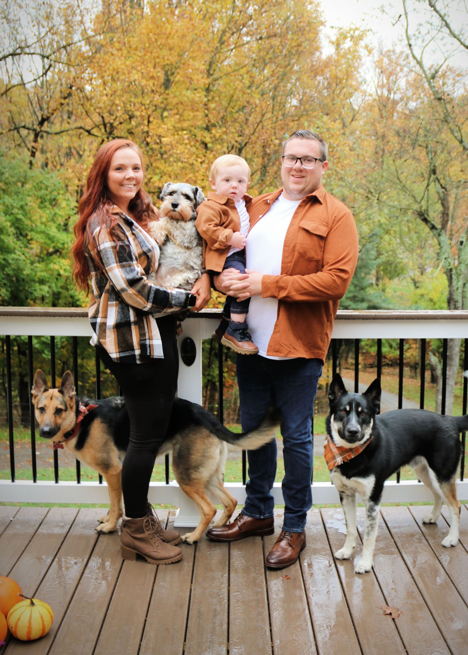 A family poses on deck with their four dogs during autumn with pumpkin decor.