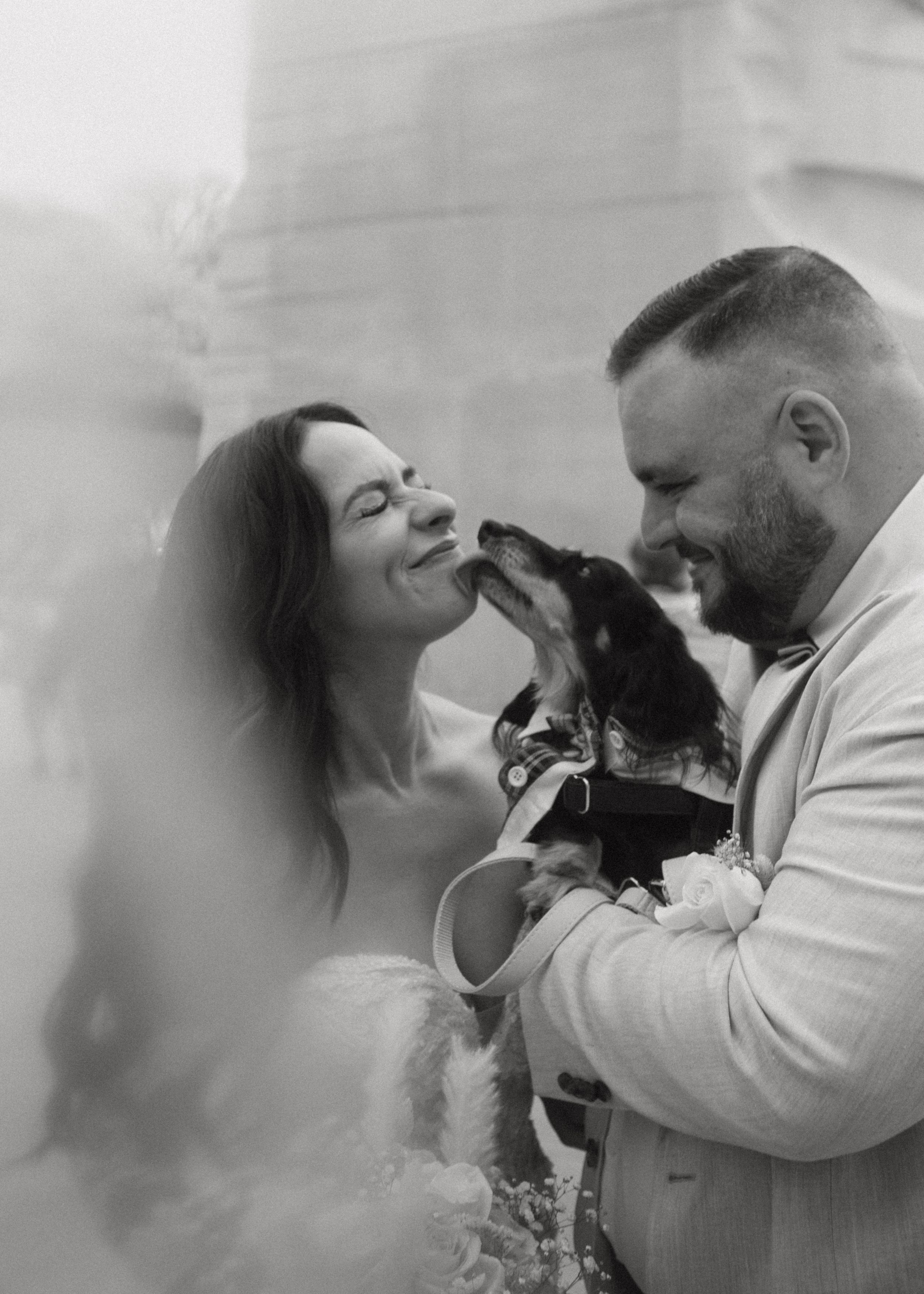 A tender black and white moment between a couple and their small dog sharing kisses and affection on their wedding day.