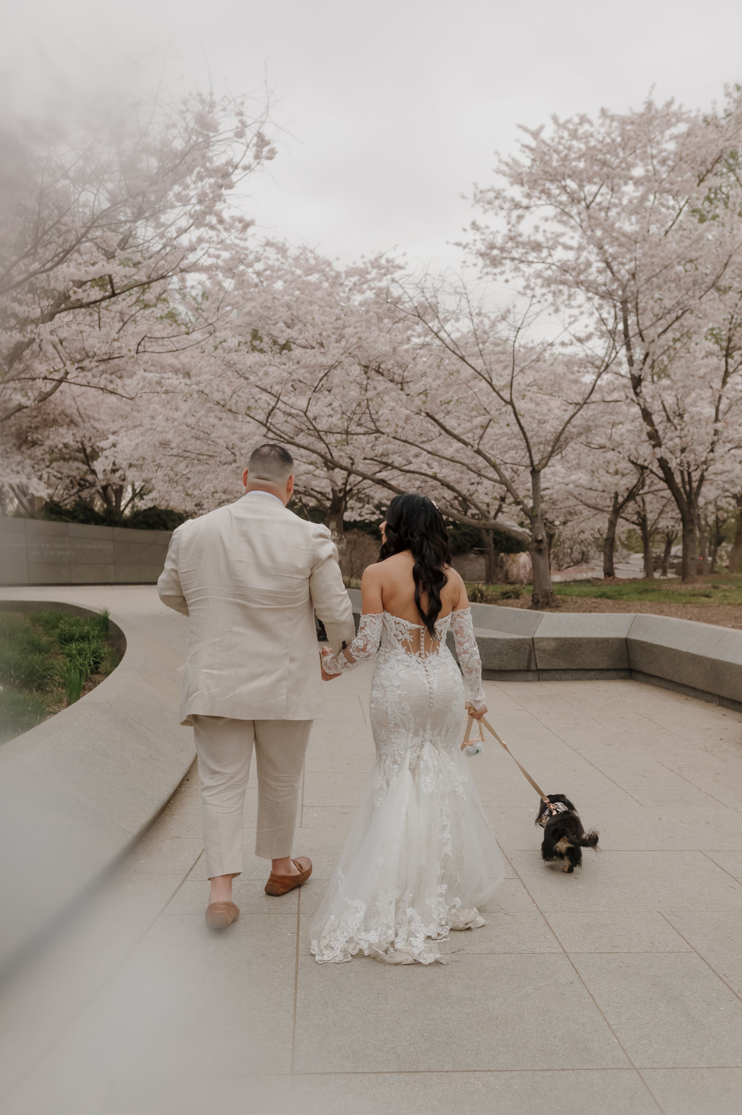 Cherry blossoms frame a springtime wedding photoshoot at a stone monument.