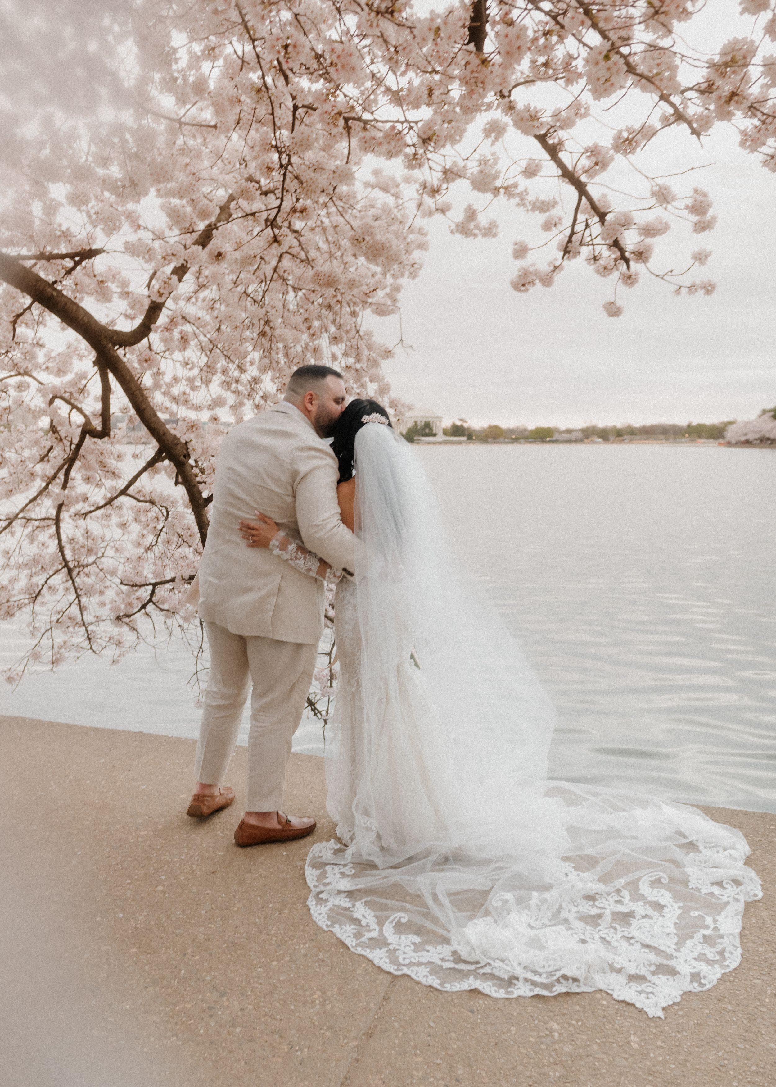 A romantic wedding couple stands beneath cherry blossoms by a serene lake with a flowing lace veil.