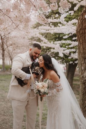 A couple shares a tender moment with their small dog under cherry blossoms during their wedding photoshoot.