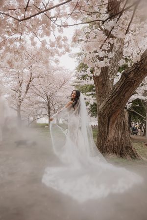 Ethereal bridal portrait under blooming cherry blossom trees with flowing white dress and veil in misty morning light.