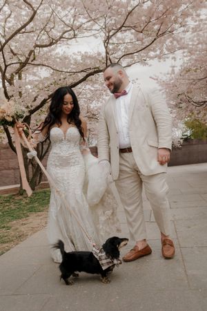 A wedding couple stands with their black dog on a path beneath blooming cherry trees.
