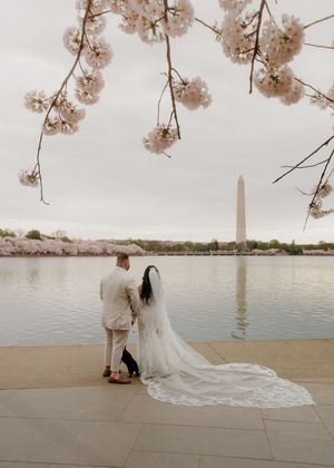 A romantic wedding photo overlooking the Washington Monument with cherry blossoms framing the scene.