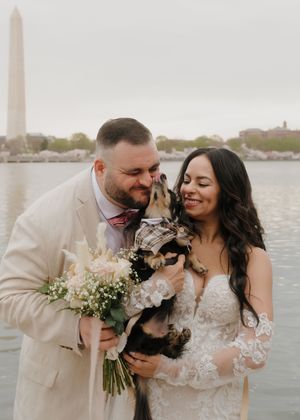 A wedding couple shares a loving moment with their dog by the Washington Monument and Tidal Basin.
