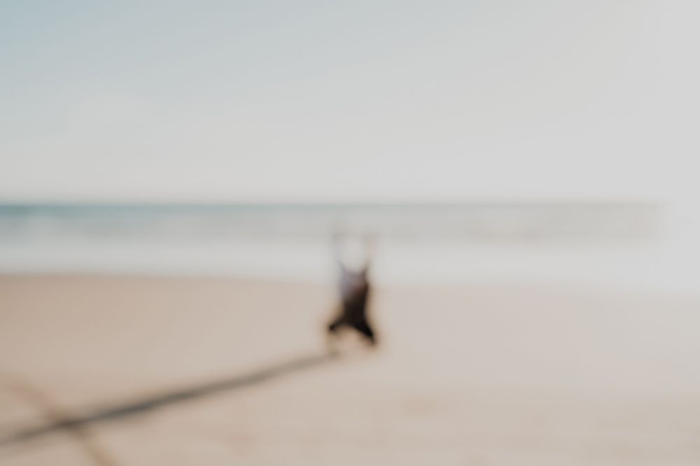 Fotografía artística en siluetas frente al atardecer en Mazatlán