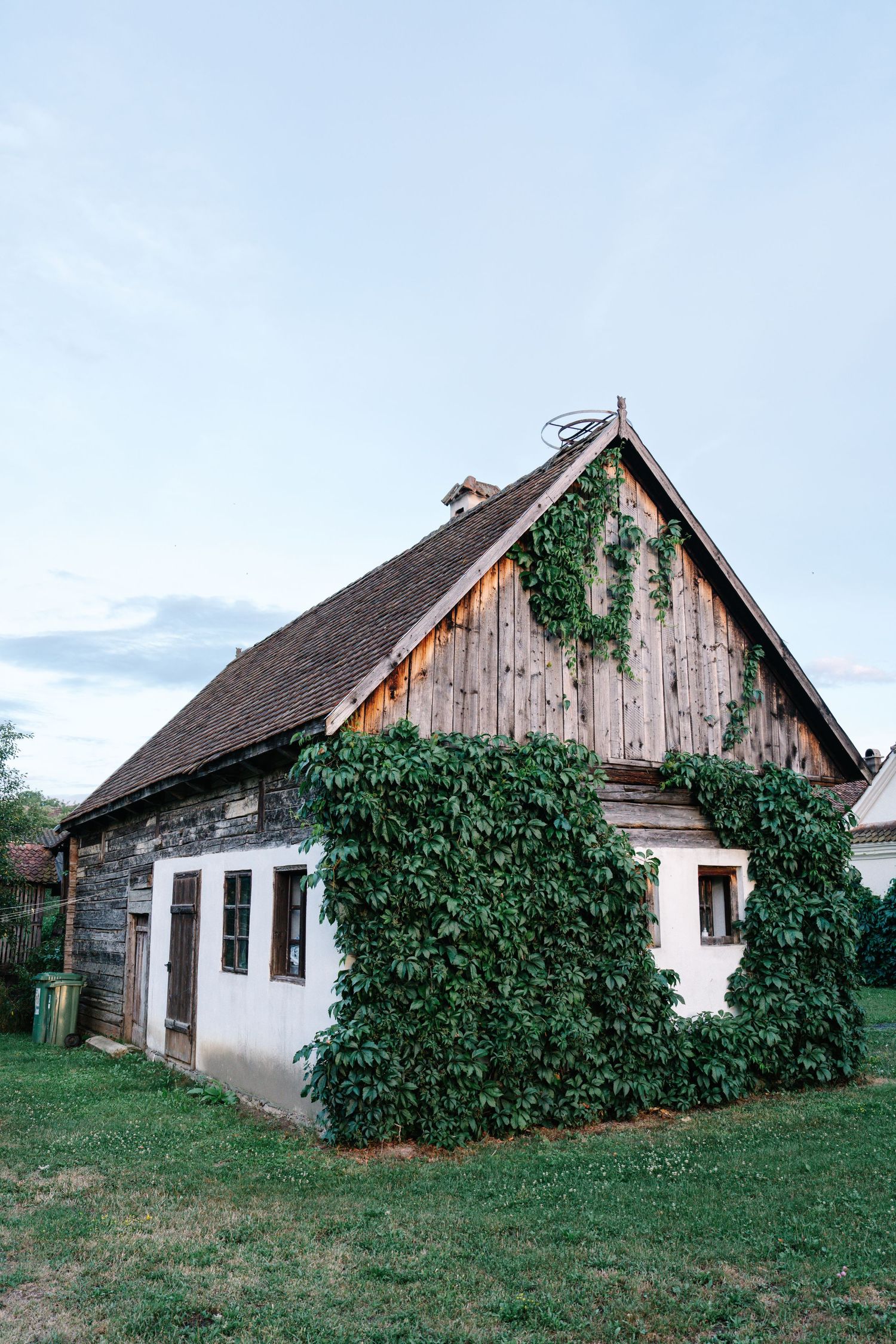 Quaint farmhouse with weathered wood siding covered in lush green ivy.