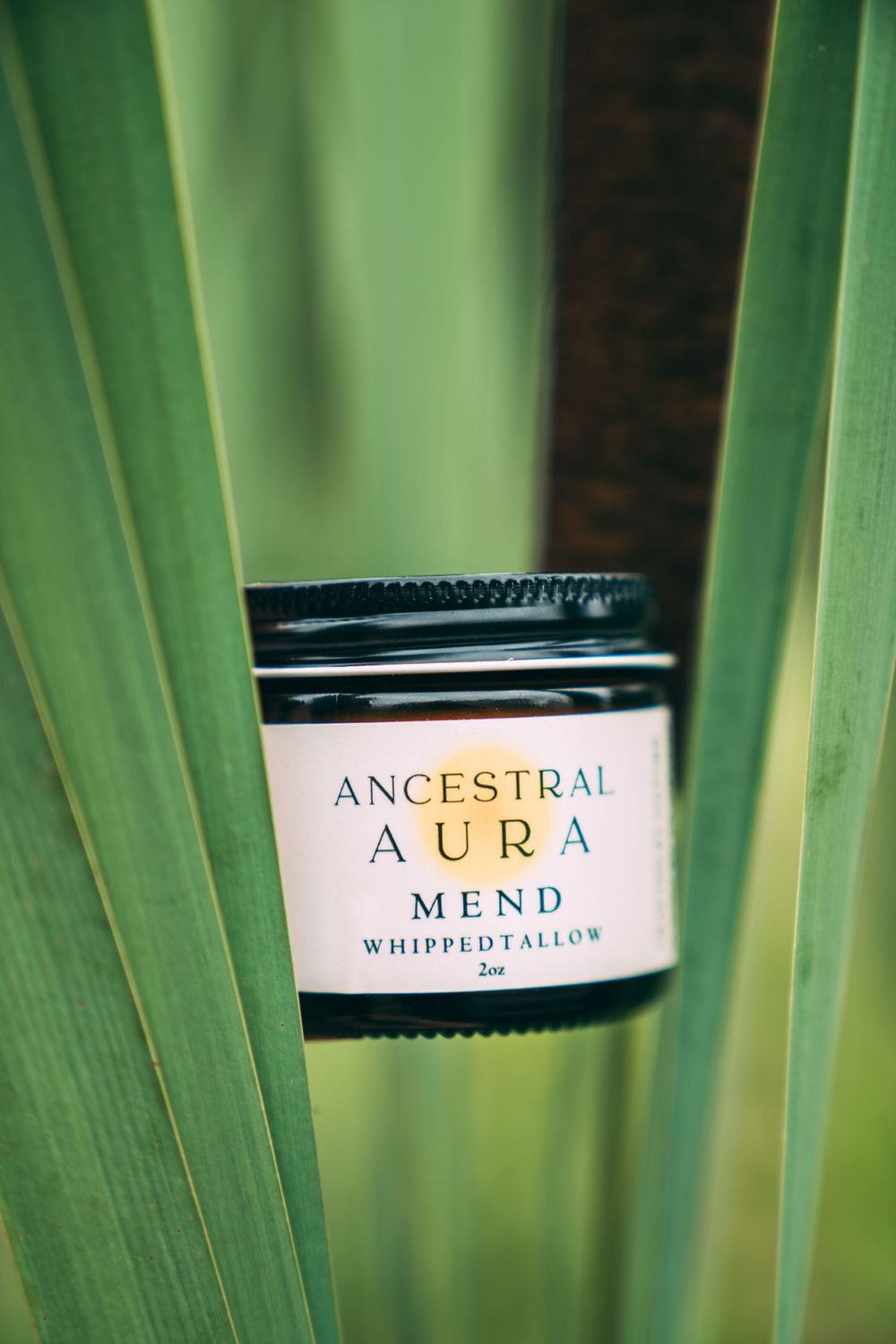 Ancestral Aura Tallow Brand Photography