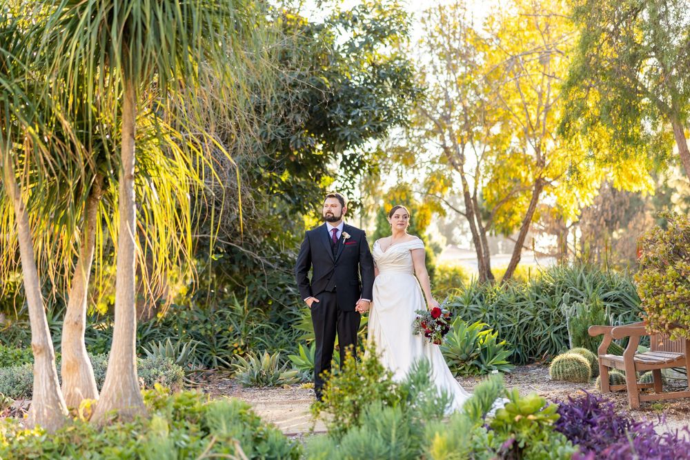 Panoramic view of newlyweds in garden setting with tropical plants and golden hour lighting.