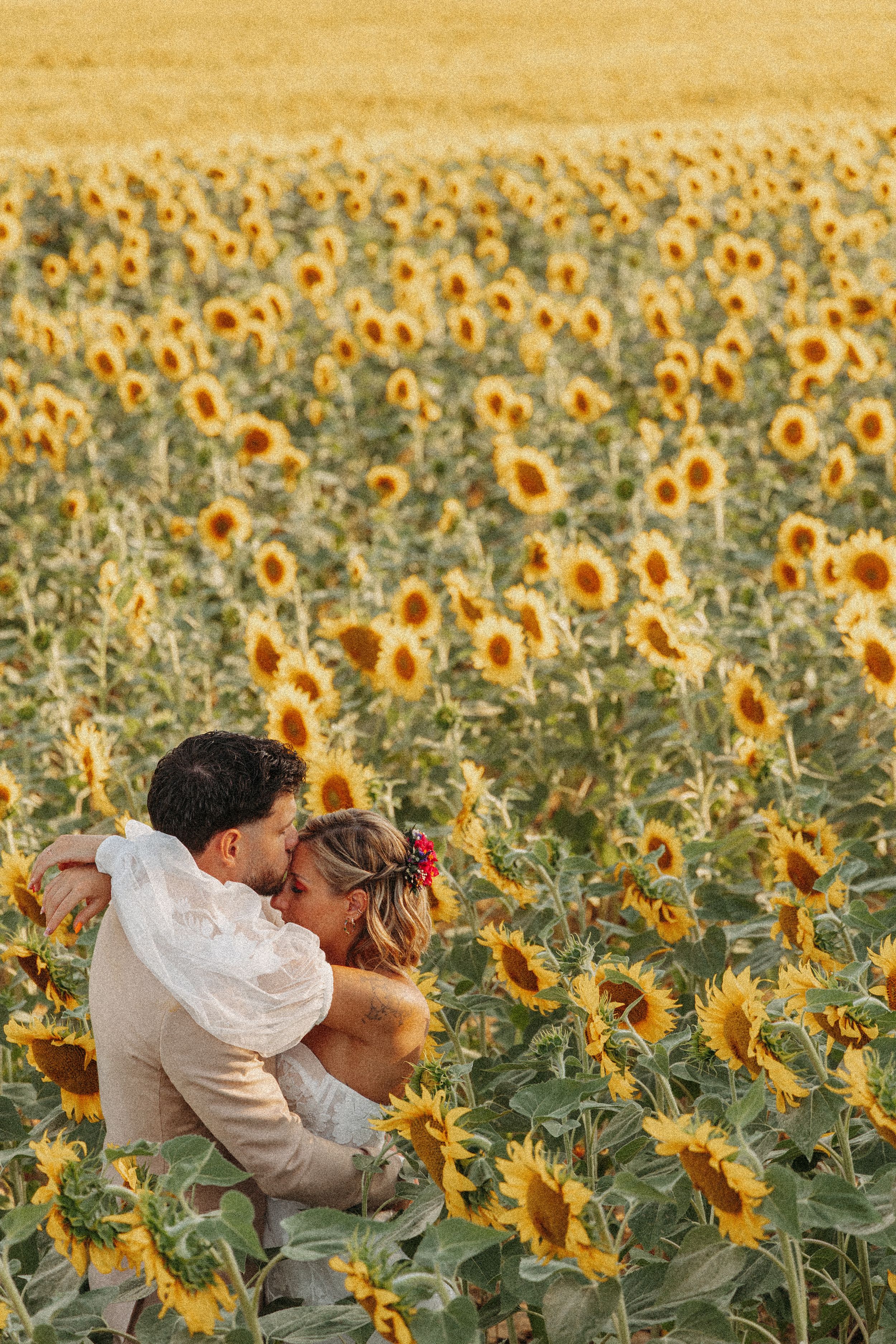 Couple sharing a tender embrace surrounded by blooming sunflowers.
