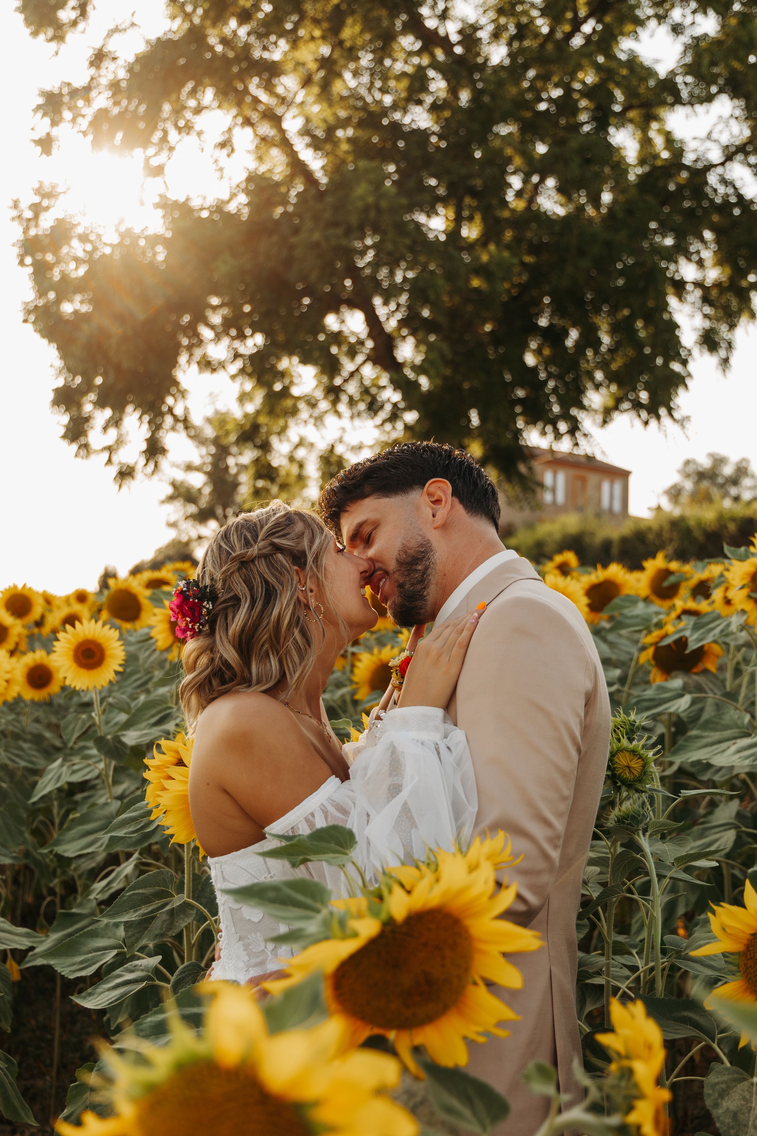 Bride and groom kissing in a sunflower field at golden sunset.