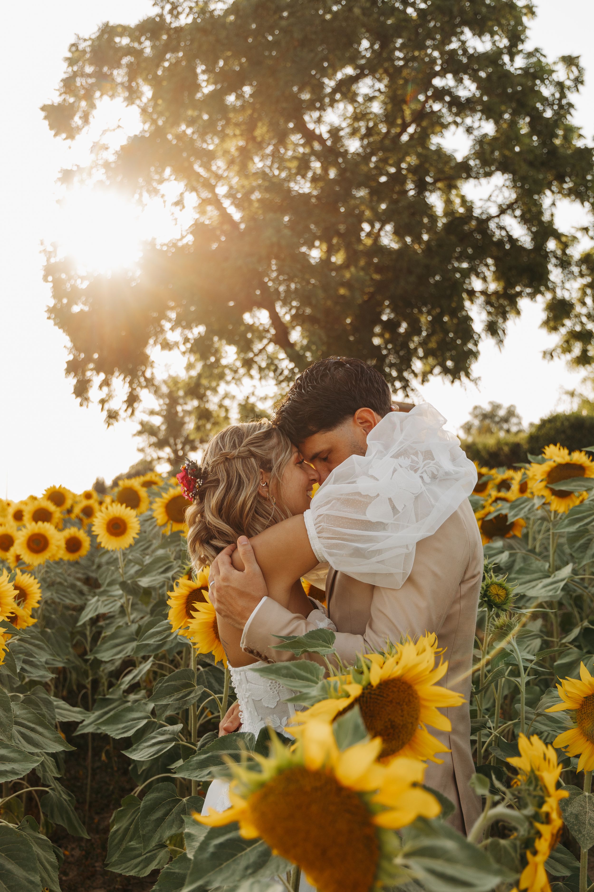 Newlyweds kissing in a sunflower field with sunlight filtering through trees.