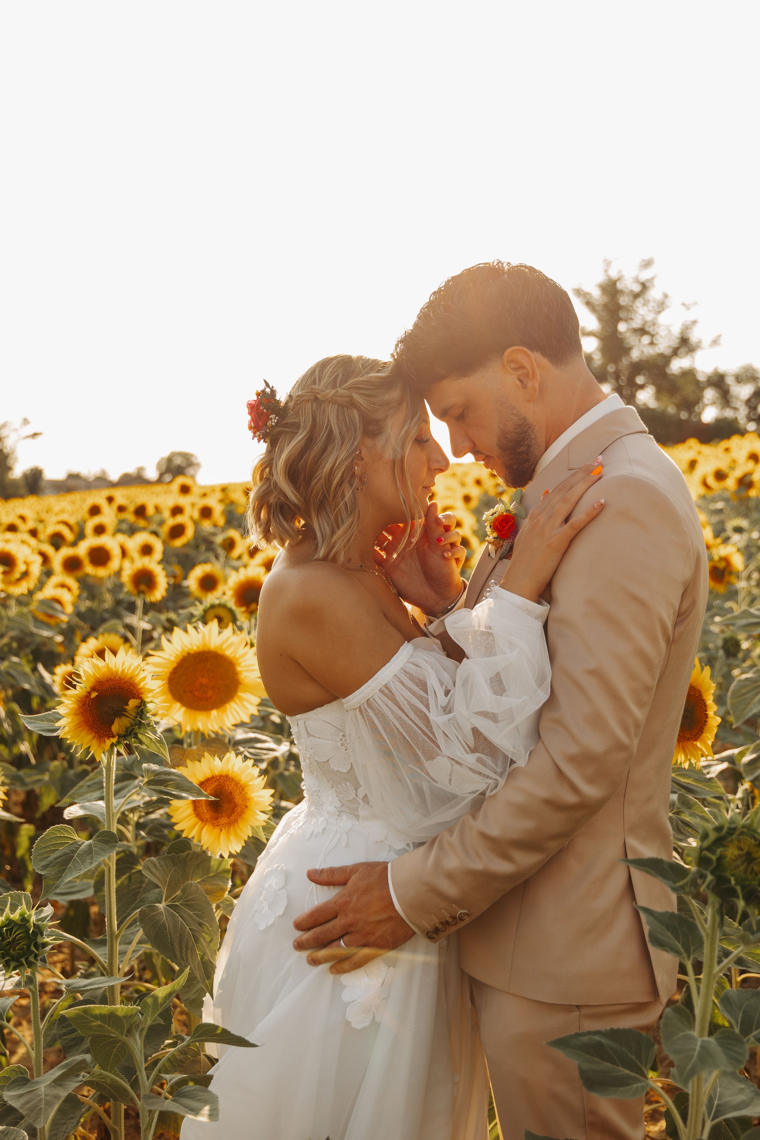 Bride and groom embracing closely in a golden sunflower field at sunset.
