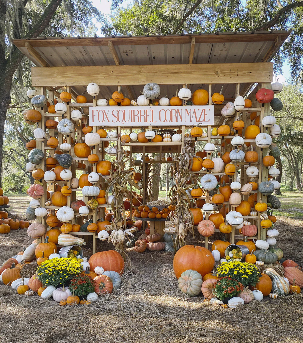 Rustic wooden stand decorated with orange pumpkins, white gourds, and hanging lanterns creates a charming autumn display.