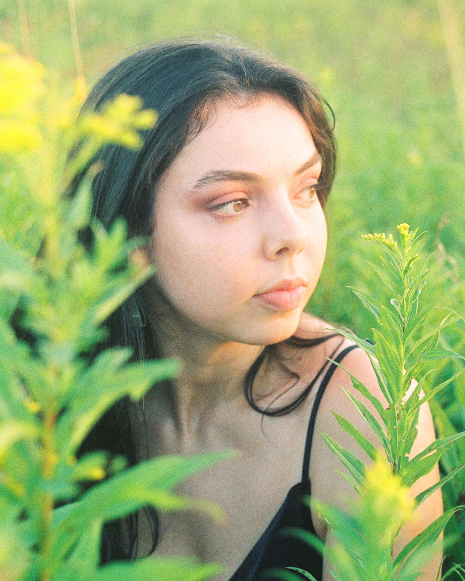 A femme stands in a field of goldenrod near sunset.