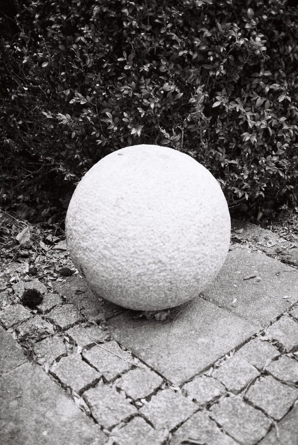 analogue, photography, patricia neuhauser